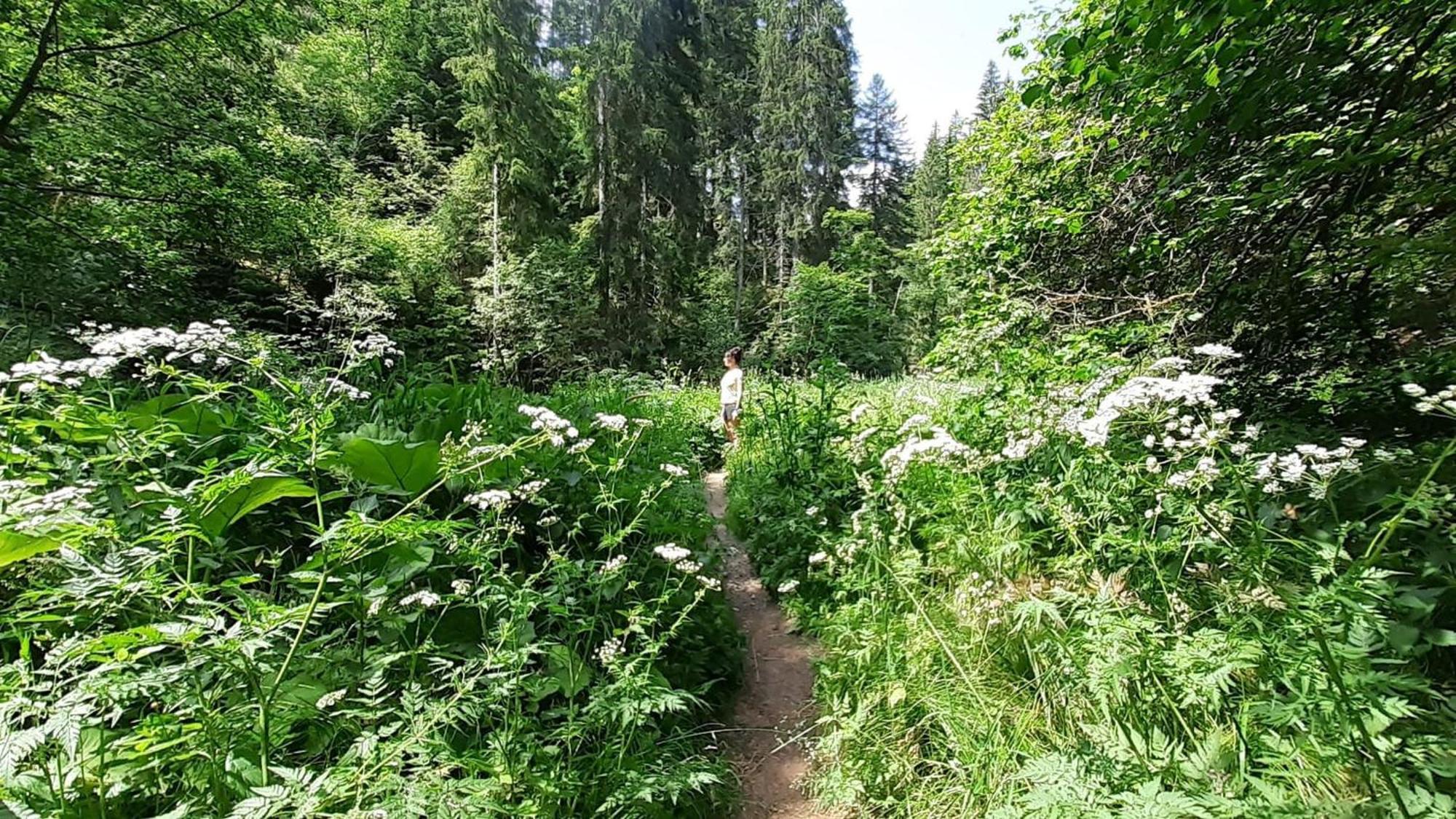 Landhaus Alpenpanorama Löffingen Kültér fotó